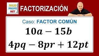 Caso 1 de factorización factor común [upl. by Helban]