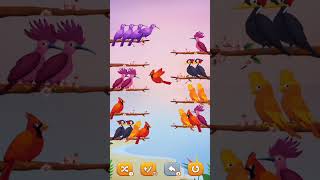 cute birds shortviral vlogs shotcutebirds bhojpuri ganashortvidtrendingshorts [upl. by Flita]