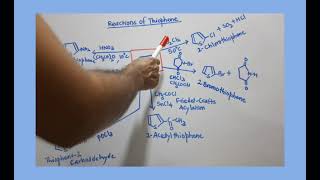 Reactions of Thiophe [upl. by Anaujit]