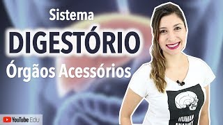 Sistema Digestório 45 Fígado Vesícula Biliar e Pâncreas  Anatomia etc [upl. by Perni]