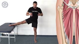 Unlocking the Hip Adductors Deep Dive into Stretching Gracilis Adductor Magnus and More [upl. by Esta]