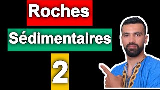 SVT  les étapes de la formation des roches sédimentaires 1ac  sédimentation et diagénèse [upl. by Evslin703]