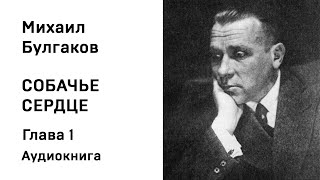 М А Булгаков Собачье сердце Глава 1 Аудиокнига Слушать Онлайн [upl. by Quiteri]