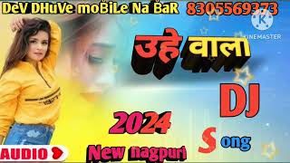 Kajjin chhodha ka khoje uhe wala Nagpuri new song 2024 [upl. by Kcirrej]