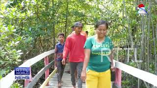 Saving Timor Leste’s mangroves [upl. by Bencion]