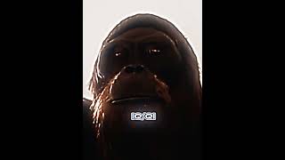 Gigantopithecus VS Cronopio Edit Prehistoric [upl. by Rebmeced63]