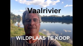 Vaalrivier wildplaas te koop [upl. by Mareld]