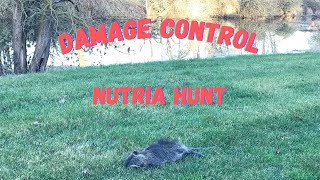 Nuisance Nutria Hunting For A Property Owner nutriahunting oregon pestcontrol [upl. by Burnie]