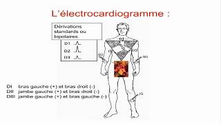 L’ECG [upl. by Salazar477]