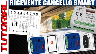 Ricevente 433 868 universale SMART  TUTORIAL collegamento scheda automazione cancello basculante [upl. by Aime]