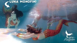 Test Swim in Mertailor Guppy Splash Mermaid Tail Featuring Orange Mermaid Friends [upl. by Airdnassac]