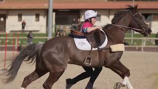 Mounted Games Peter Dale Istres Open 2018 Team Horse Spirit Geffardière [upl. by Denny]