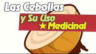 ░▒▓██►La Cebolla y Su Uso Medicinal  Las Propiedades Curativas De La Cebolla [upl. by Auberbach436]