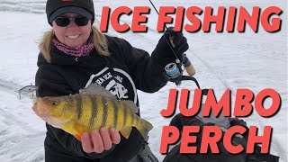 Ice Fishing Perch How to Ice Fish JUMBOS  Tailored Tackle Ice Fishing 2019  Episode 1 [upl. by Iramaj]