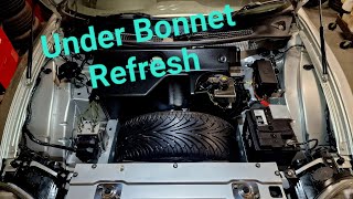 MGTF 160  Under Bonnet Refresh amp Servo Brace Fitting [upl. by Abel]