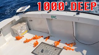 Fishing 1000 DEEP At Oregon Inlet Deep Dropping Tilefish and more [upl. by Ornstead631]