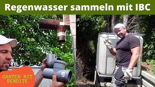 Regenwasser sammeln mit IBC Dachrinne an IBC Container anschließen [upl. by Eicaj]