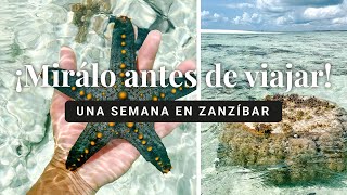 Una semana EN ZANZIBAR TANZANIA 🌴 ¿Cuál es la mejor zona para alojarse [upl. by Eetnuahs]