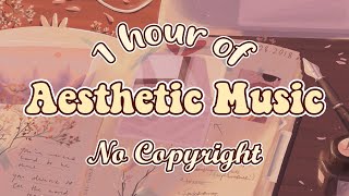 1 hour of Aesthetic Music  No Copyright [upl. by Branscum738]