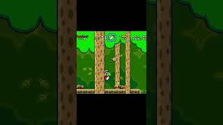 Forest of Illusion Super Mario World  nintendo supermario retrogaming [upl. by Barbarese]