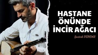 HASTANE ÖNÜNDE İNCİR AĞACI  ŞENTÜRK DÜNDAR [upl. by Nash]