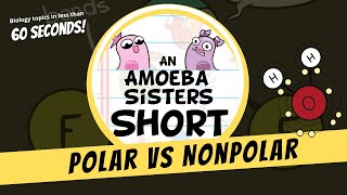 Polar vs Nonpolar  Amoeba Sisters Shorts [upl. by Regen]