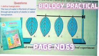 comparative study of rate of transpiration biology practical class 12 experiment 1 part b answers [upl. by Nnyladnarb]