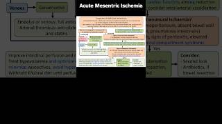 Acute Mesentric Ischemia biology clinicalcase medicalfield science medicalspecialty icu [upl. by Hartwell894]