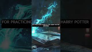 Harry Potter Wand Lore [upl. by Weathers]