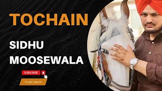 Tochan Full SongSidhu Moosewala songPunjabi song [upl. by Aerdnaek]