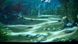 Burgess Shale Animation [upl. by Annabella]