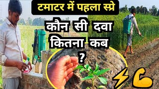 टमाटर में पहला स्प्रे में कौन सी दवा कब कितना डालें  First Spry In Tomato  Tomato Farming [upl. by Llerreg]