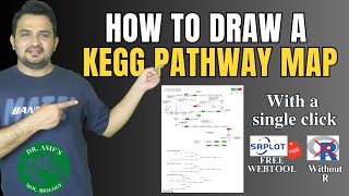 How to draw a KEGG pathway map [upl. by Doomham792]