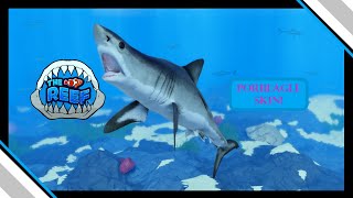 Shark Week Part 3 Porbeagle Skin  The Reef [upl. by Picco]