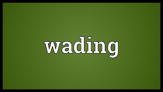 Wading Meaning [upl. by Lenneuq74]