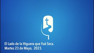 Dra Graciela Esparza  El Lado de la Higuera que Fué Seca  Una Voz en el Camino [upl. by Cadmann242]