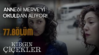 Kırgın Çiçekler 77Bölüm  YGS’de başarısız olan Merve [upl. by Royce]