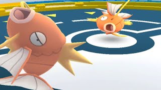 Epic Duel Magikarp vs Magikarp Gym Battle Action Struggle to Win 🌮 [upl. by Diva]