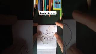 Human life cycle art shorts drawing [upl. by Leummas]