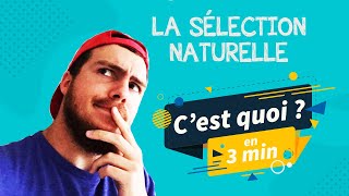 La Sélection Naturelle cest quoi en 3 minutes  Définition exemples… Lévolution vulgarisée [upl. by Naehgem351]