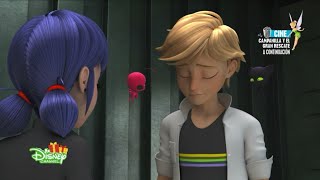 Miraculous Ladybug Season 2 ep 8 The Dark Owl HD [upl. by Uthrop176]