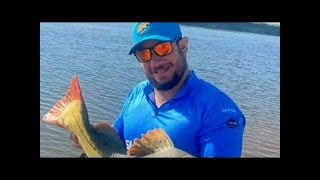 Temporada de Pesca 2024 com Shomano Fishing [upl. by Ijneb]