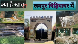 jaipur zoo visit zoo of Jaipur tour of zoo tour of Jaipur zoo जयपुर का चिड़ियाघर [upl. by Reseta]