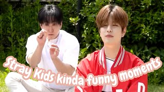 Stray Kids kinda funny moments pt 19 [upl. by Lletram]