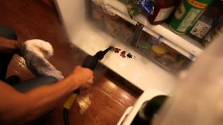 How to Steam Clean Refrigerator and Freezer  Daimer Steam Cleaners [upl. by Ramar]