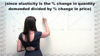 Microeconomics Practice Problem  Taxes and Elasticity [upl. by Gnod]