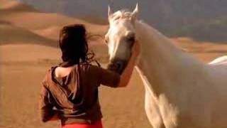 Arabian Horse Association TV Ad [upl. by Silverts]