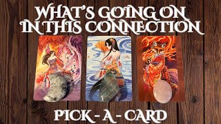 ❤️🔮What’s going on in this connection❤️PICKACARD✨🌙TIMELESS❤️LOVE READINGtarot pickacard [upl. by Atinej]