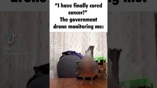 “I cured cancer” the government drone monitoring me [upl. by Ingalls]