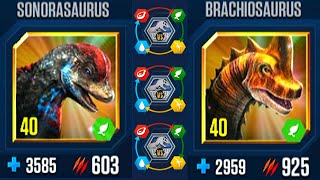 SONORASAURUS VS BRACHIOSAURUS ALL EVOLUTIONS ALL X3 LV 40  JURASSIC WORLD THE GAME [upl. by Nevuer92]